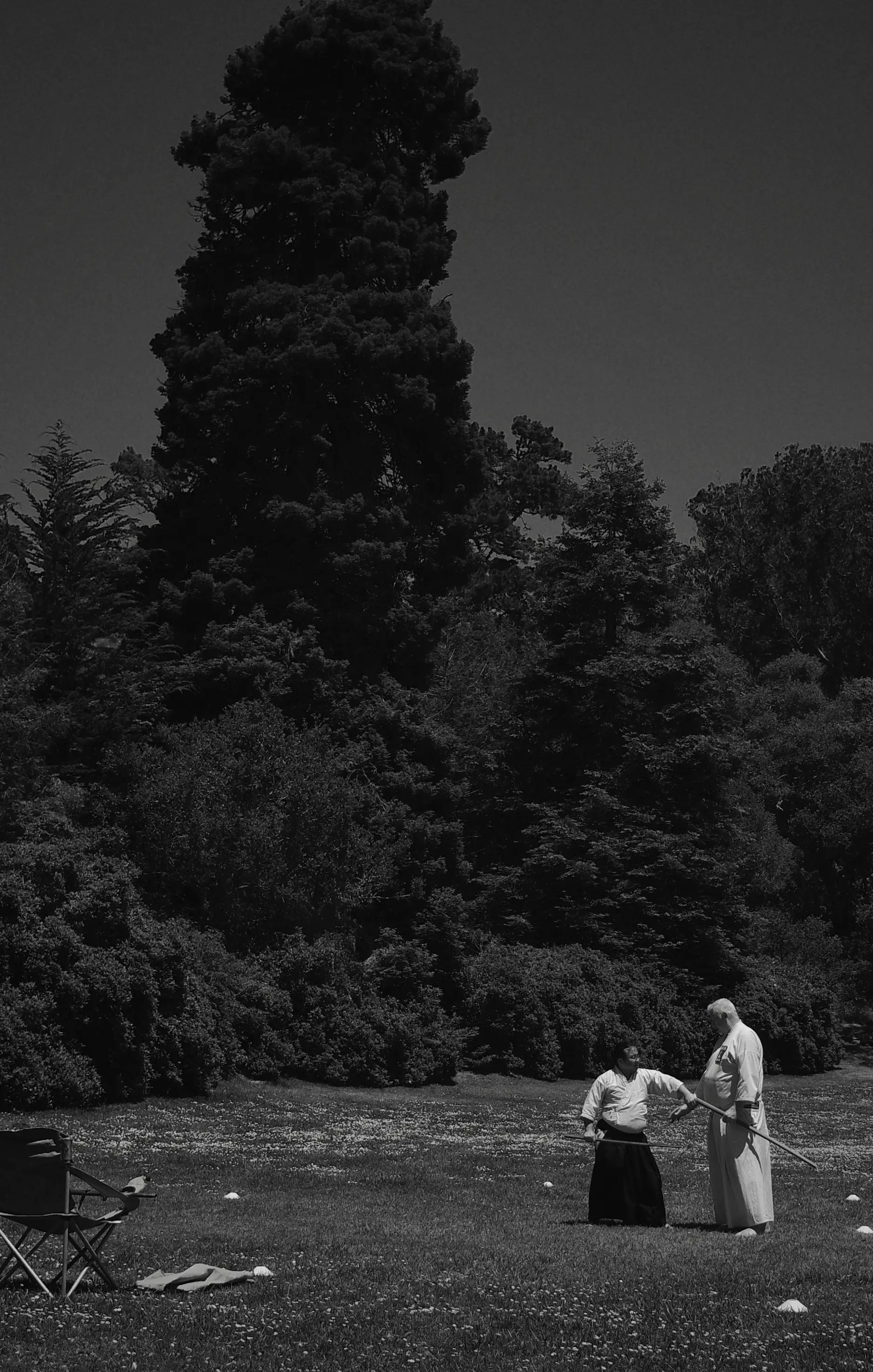 Photo from san francisco